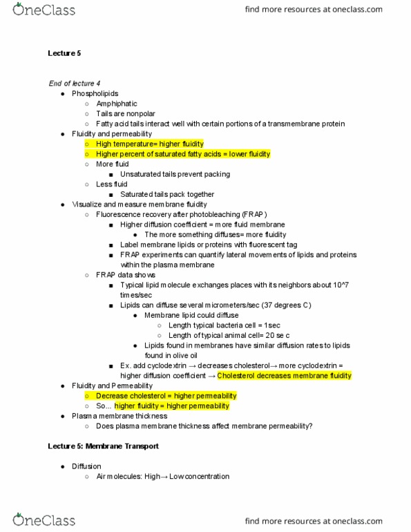 BIO SCI 93 Lecture Notes - Lecture 5: Cyclodextrin, Fluorescent Tag, Membrane Lipids thumbnail