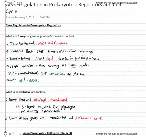 BIOL 200 Lecture 22: Gene Regulation in Prokaryotes- Regulators & Cell Cycle (Lecture 22 & 23 combined) cover image