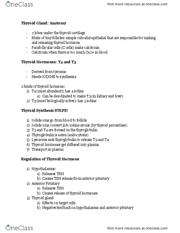 HSCI-102 Lecture Notes - Lecture 2: Thyroid Peroxidase, Thyroid, Thyroid Cartilage thumbnail