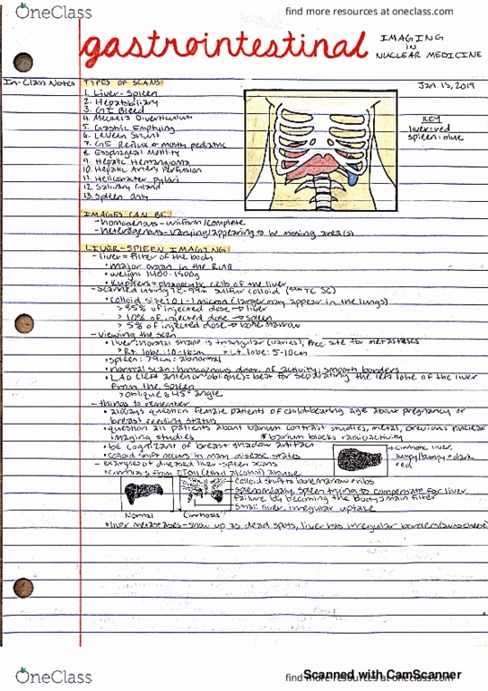 NMED 401 Lecture 1: Intro to Gastrointestinal Imaging and Liver Spleen Scan thumbnail