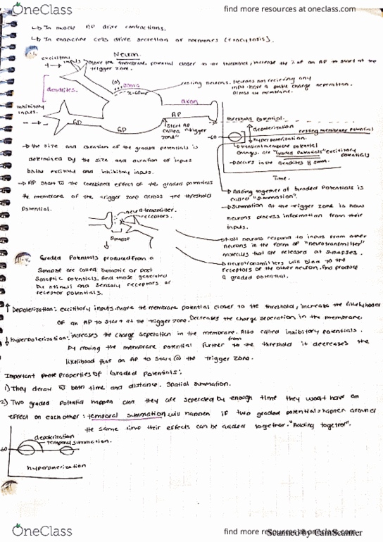 BIO304H5 Lecture 2: BIO304 2 pdf thumbnail