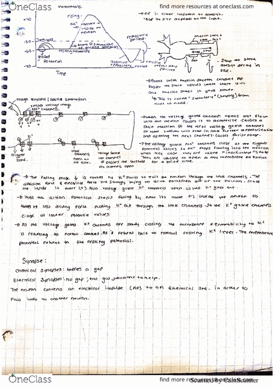 BIO304H5 Lecture 3: BIO304 3 thumbnail