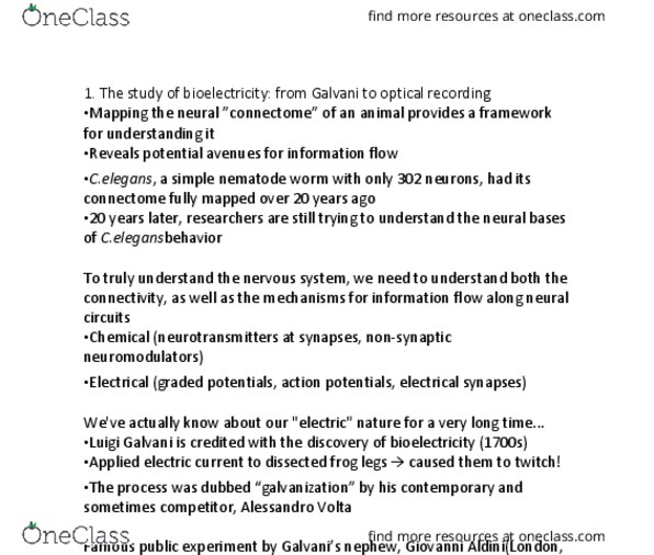 BIO304H5 Chapter Notes - Chapter 3: Alessandro Volta, Luigi Galvani, Connectome thumbnail