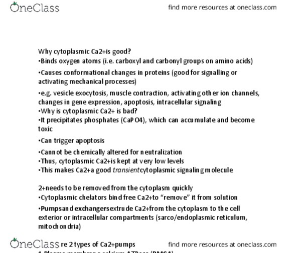 BIO304H5 Chapter Notes - Chapter 6: Apoptosis, Exocytosis, Muscle Contraction thumbnail