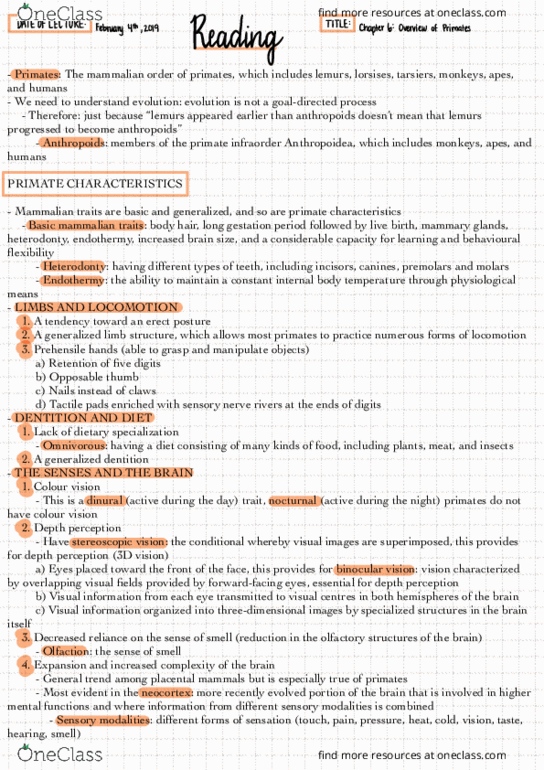 ANT101H5 Chapter 6: Overview of Primate thumbnail