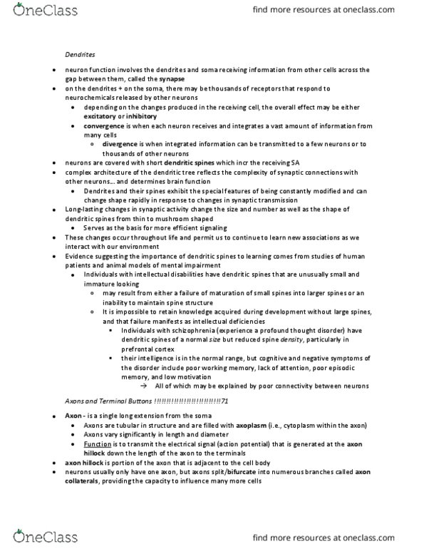 PSYC62H3 Chapter Notes - Chapter 2: Axon Hillock, Prefrontal Cortex, Intellectual Disability thumbnail