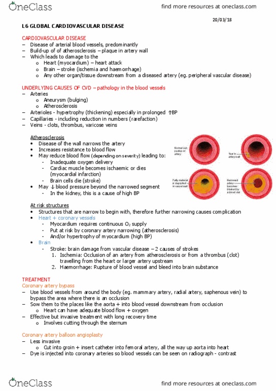 PHY3171 Lecture Notes - Lecture 6: Peripheral Artery Disease, Great Saphenous Vein, Coronary Circulation thumbnail