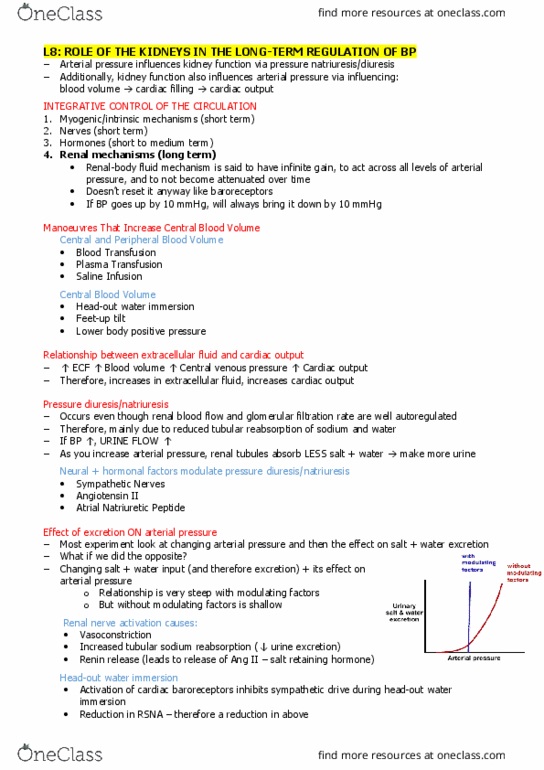 PHY3171 Lecture Notes - Lecture 9: Central Venous Pressure, Renal Function, Renal Artery thumbnail