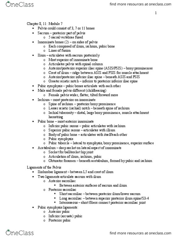 MOVESCI 230 Chapter 8: Pelvis and Hip (Module 7) thumbnail