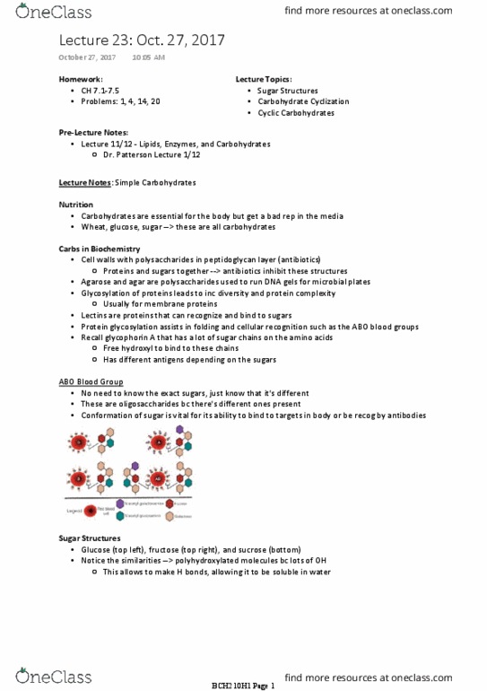 BCH210H1 Lecture Notes - Lecture 23: Abo Blood Group System, Glycophorin, Blood Sugar thumbnail
