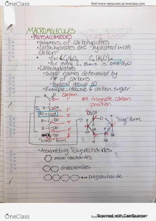 BI 150 Lecture 5: Polysaccharides thumbnail