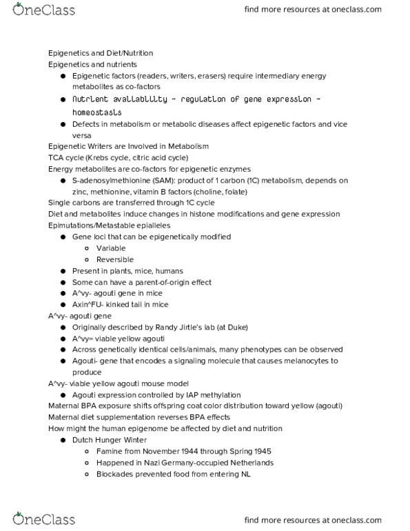 GENOME 222FS Lecture Notes - Lecture 20: Allele, Citric Acid Cycle, Axin1 thumbnail