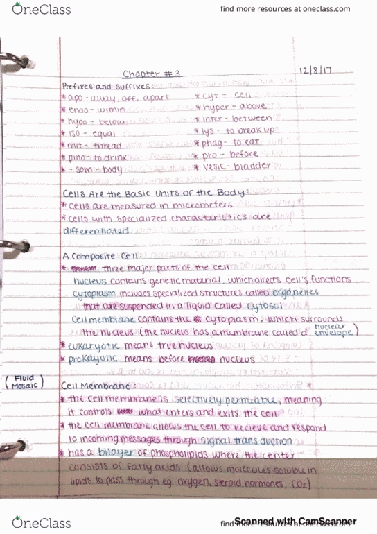 BISC 225 Chapter 3: Cell Structure thumbnail