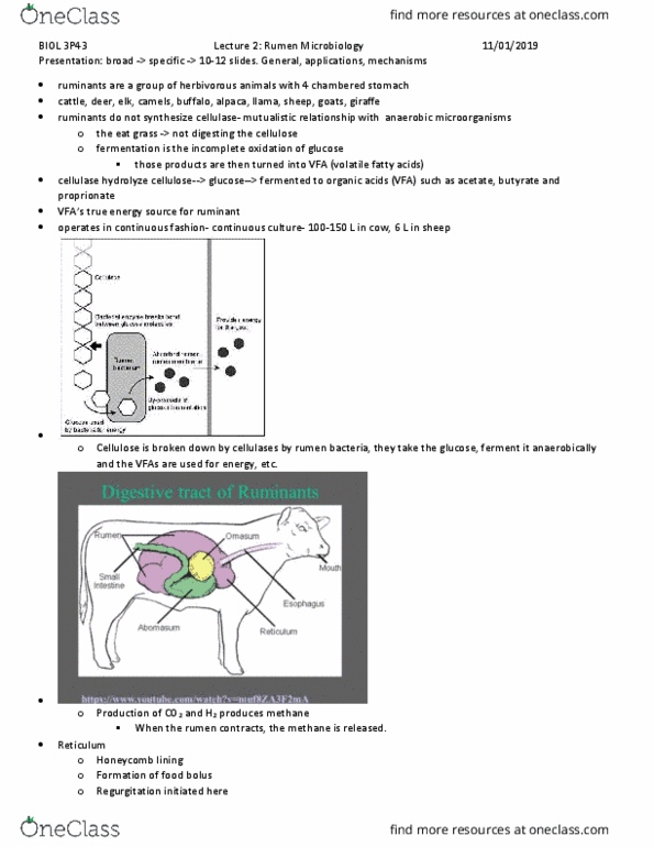 BIOL 3P43 Lecture Notes - Lecture 2: Short-Chain Fatty Acid, Cellulase, Victorian Football League thumbnail