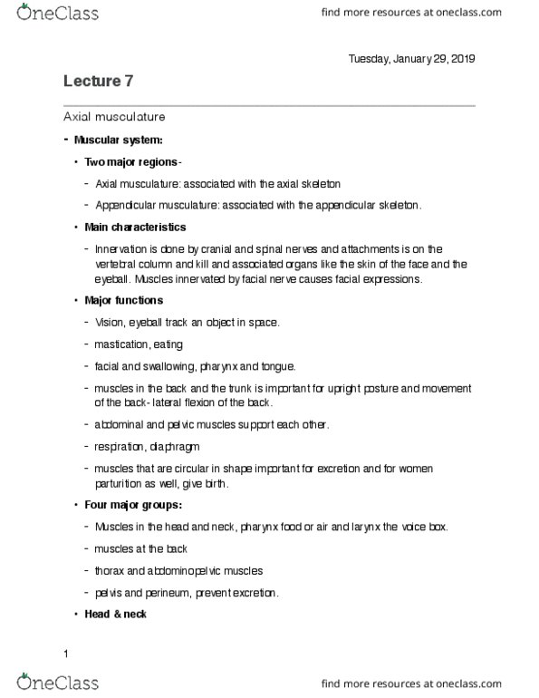 ANAT200 Lecture Notes - Lecture 7: Appendicular Skeleton, Axial Skeleton, Pelvic Floor thumbnail