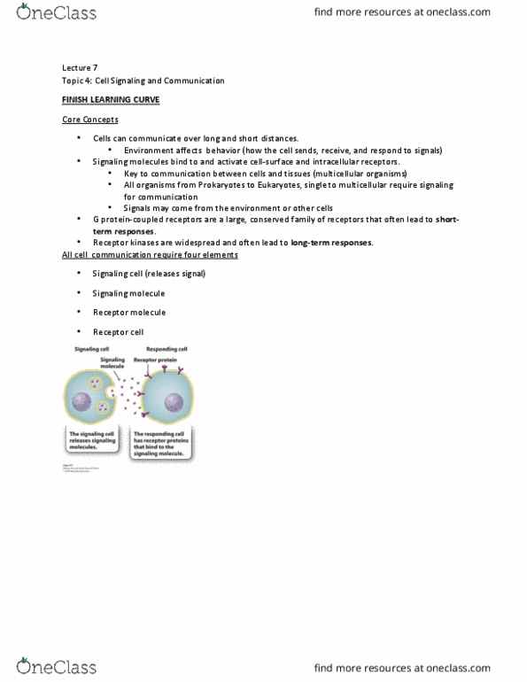 BIOA01H3 Lecture Notes - Lecture 7: Cell Signaling, Signal Transduction, Streptococcus thumbnail