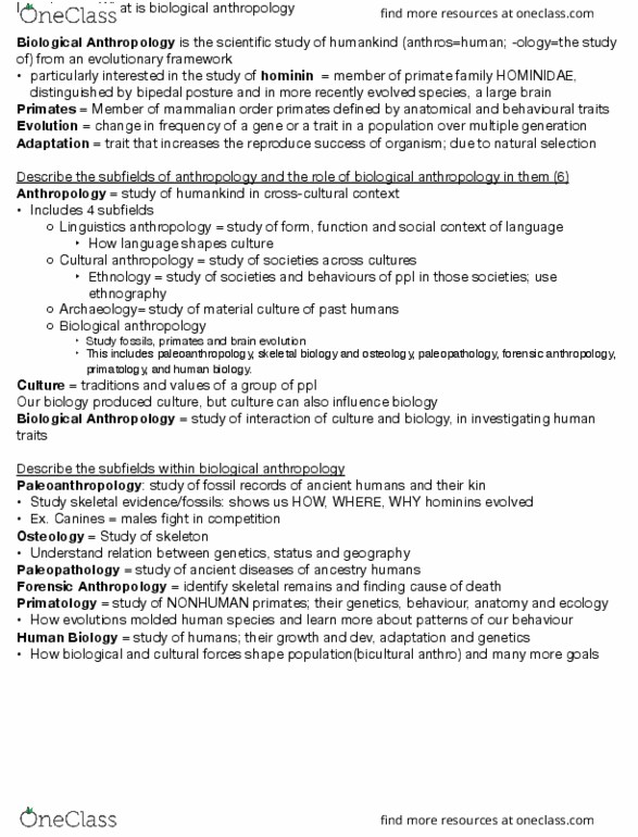 ANTH 203 Chapter Introduction: Biological Anthropology and Subdisciplines thumbnail