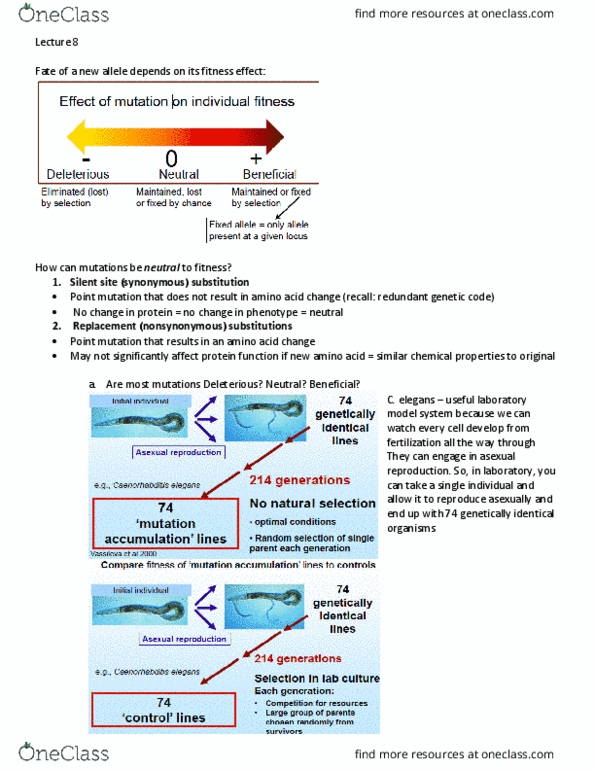 BIOB51H3 Lecture 8: Lecture 8 thumbnail