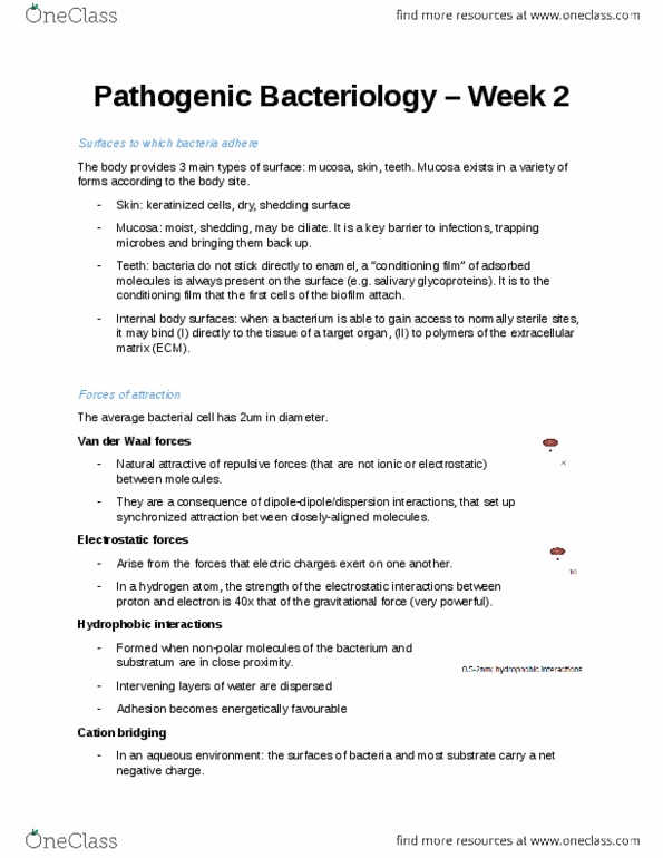 MICR 4010 Lecture Notes - Lecture 2: Bacteriophage, Inflammatory Bowel Disease, Glycocalyx thumbnail