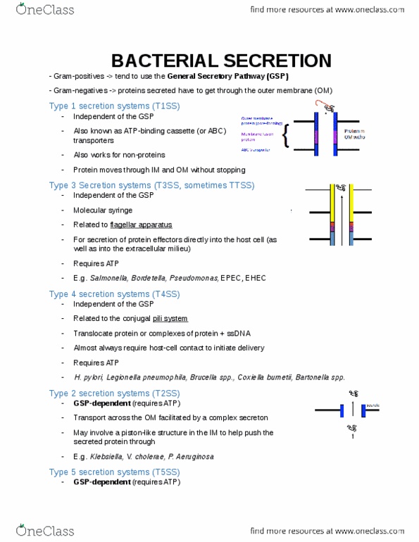 document preview image