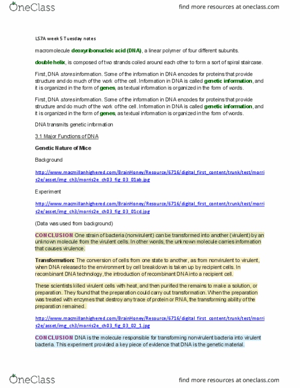 LIFESCI 7A Chapter 3 DNA: LIFESCI 7A Chapter 3 DN: LIFESCI 7A Chapter 3 D: LIFESCI 7A Chapter 3 : LIFESCI 7A Chapter 3 : LIFESCI 7A Chapter : LIFESCI 7A Chapter : LS7A week 5 Tuesday notes thumbnail