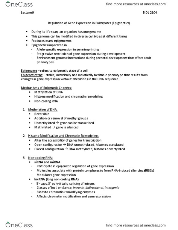 BIOL 2104 Lecture Notes - Lecture 9: Long Non-Coding Rna, Non-Coding Rna, Epigenome thumbnail