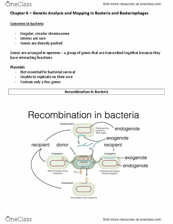 document preview image