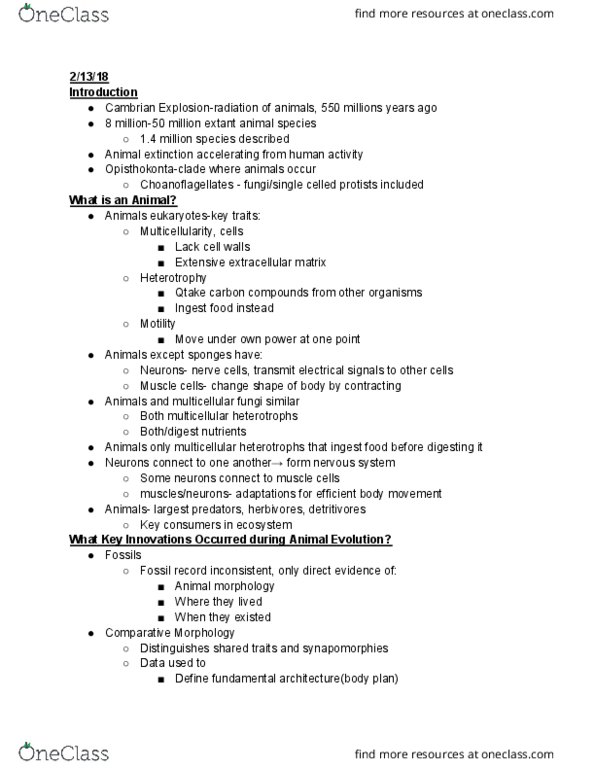 BIO SCI 94 Lecture Notes - Lecture 17: Choanoflagellate, Detritivore, Synapomorphy cover image