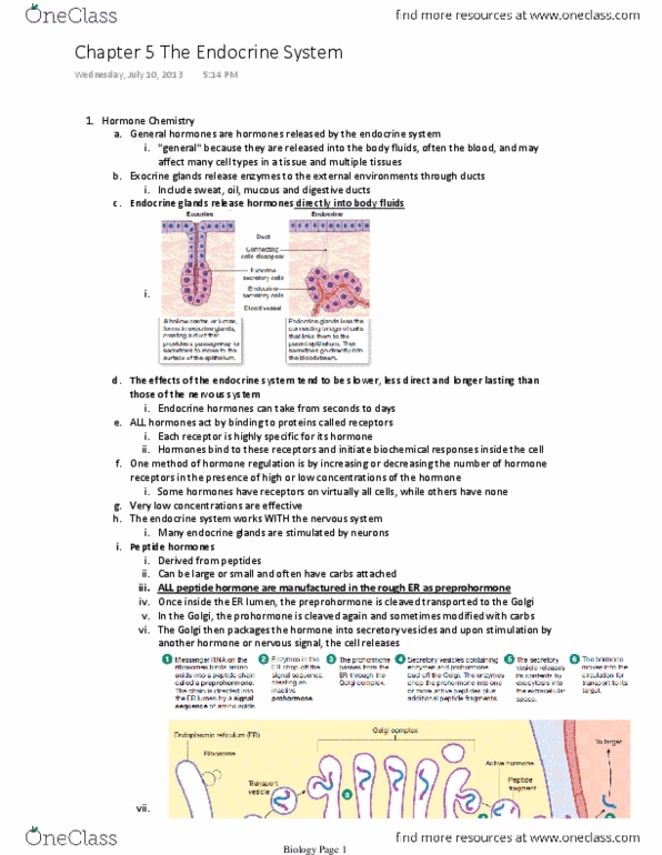 BSC 3096 Chapter Notes - Chapter 5: Lipophilicity, Pituitary Gland, Prostaglandin thumbnail