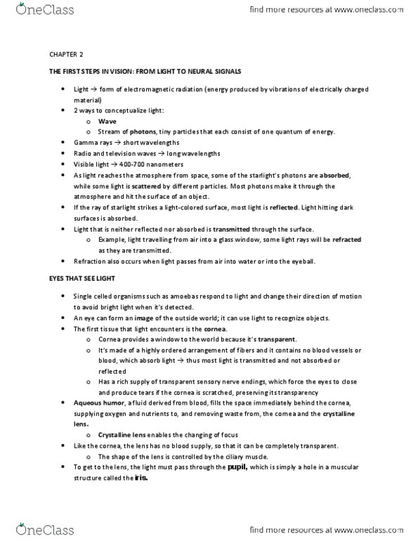 PSYB51H3 Chapter Notes - Chapter 2: Peripheral Vision, Photopic Vision, Lateral Geniculate Nucleus thumbnail