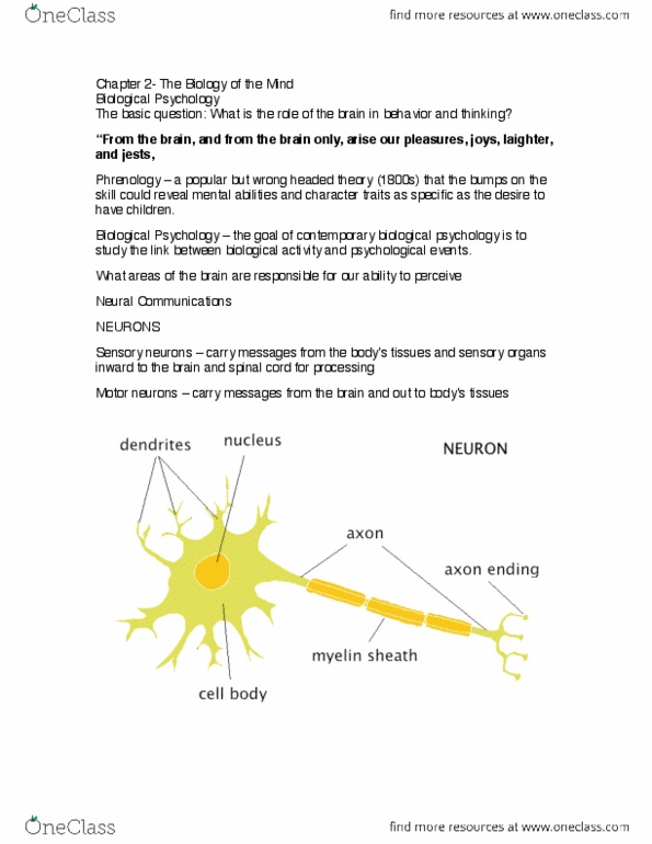 PSY 101 Lecture Notes - Acetylcholine thumbnail