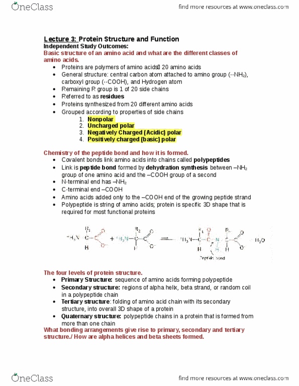 Biology 1002B Lecture Notes - Lecture 3: Hexokinase, Western Blot, Mutation thumbnail