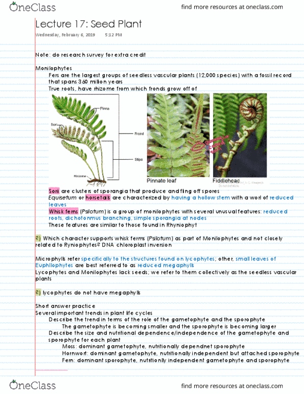 BIS 2C Lecture 17: Seed Plants thumbnail