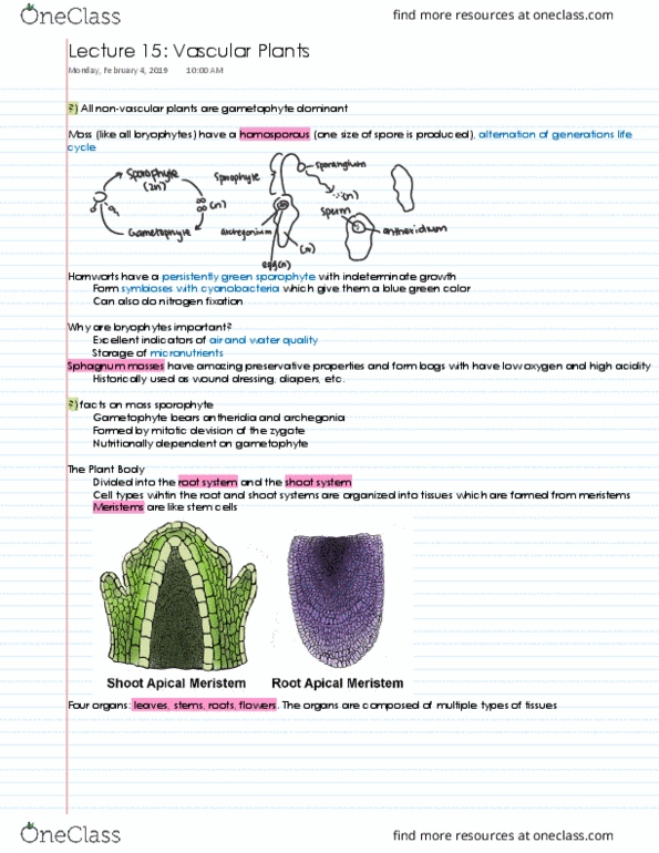 BIS 2C Lecture 15: Vascular Plants thumbnail