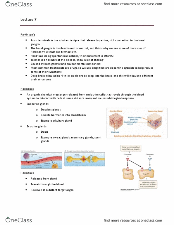 Psychology 2220A/B Lecture Notes - Lecture 7: Deep Brain Stimulation, Substantia Nigra, Basal Ganglia thumbnail