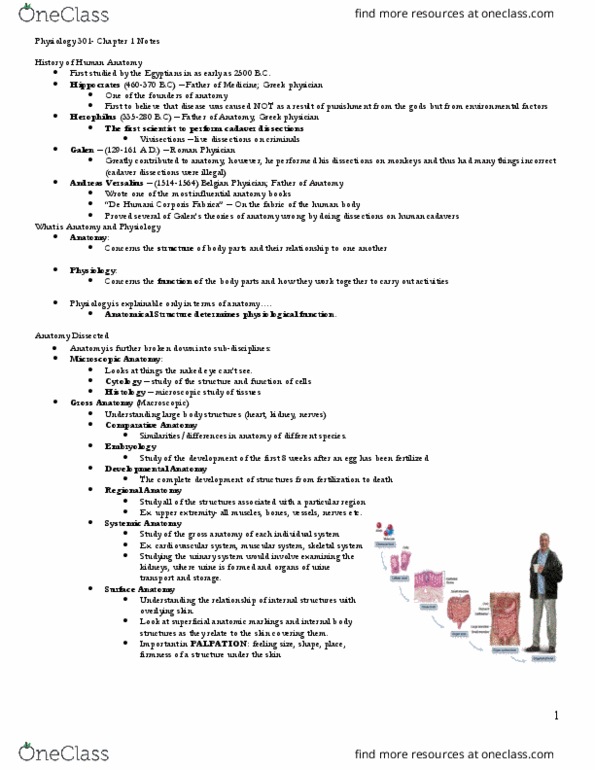 MATH 221 Lecture 3: Physiology 301- Chapter 1 Notes thumbnail