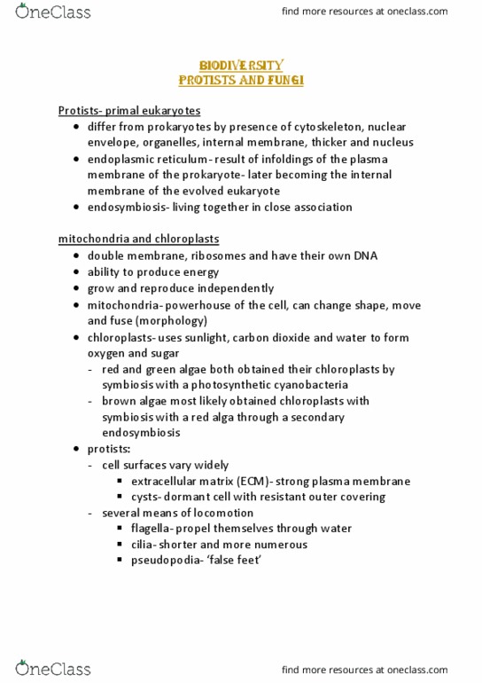 300802 Lecture Notes - Lecture 12: Symbiogenesis, Endoplasmic Reticulum, Red Algae thumbnail
