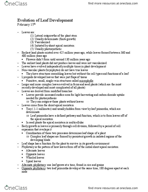 PBIO 004 Lecture 11: Evolution of Leaf Development thumbnail