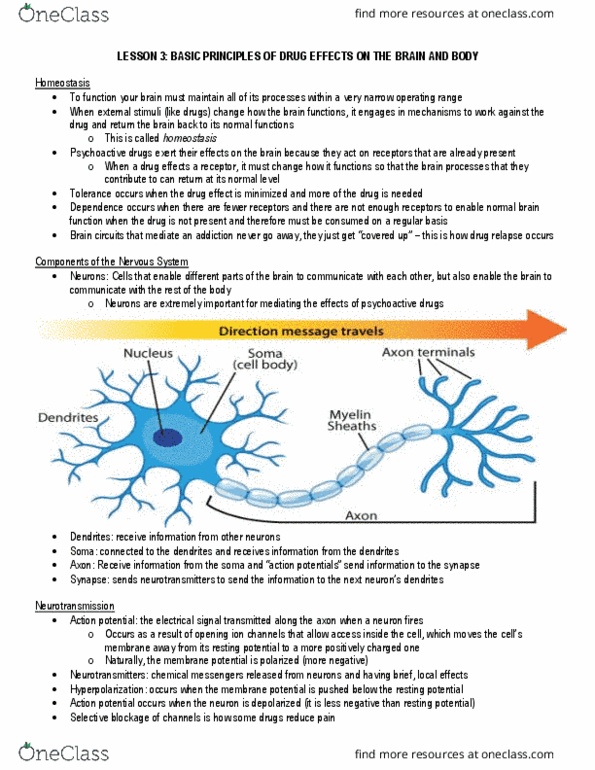 document preview image