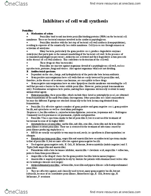 PSC 432 Chapter 31: Inhibitors of cell wall synthesis thumbnail