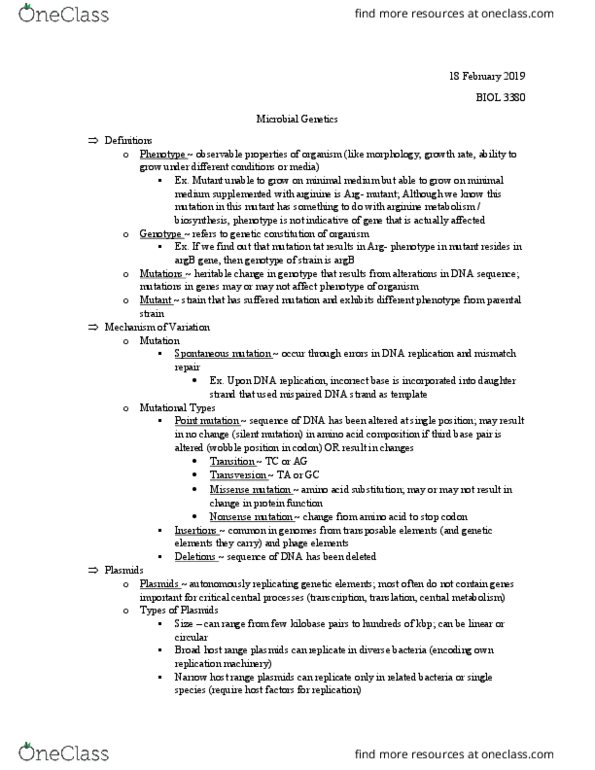 BIOL 3380 Chapter 2: 18 February - Microbial Genetics thumbnail