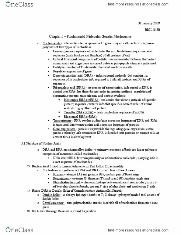 BIOL 3450 Chapter 5: Chapter 5 – Fundamental Molecular Genetic Mechanisms thumbnail