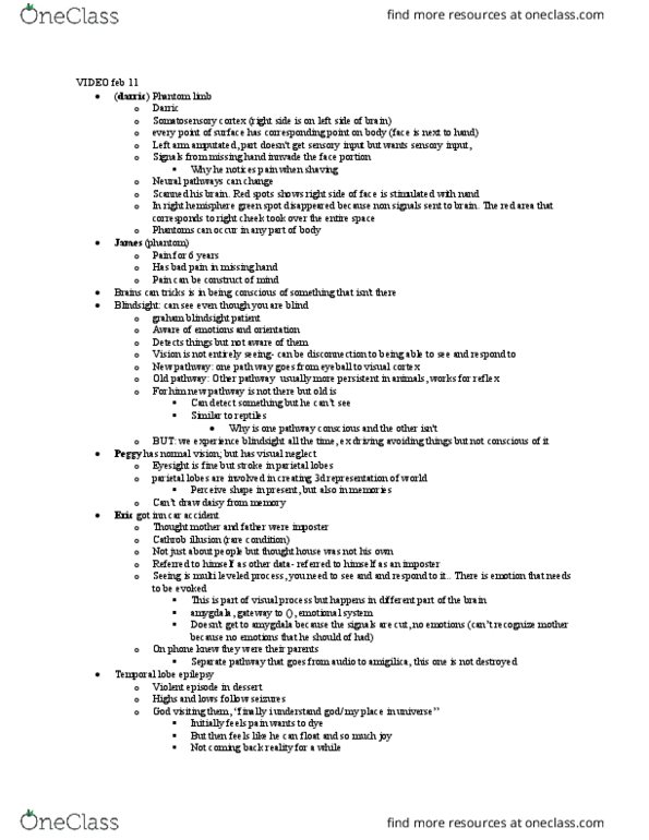 PSYCH 112 Lecture Notes - Lecture 6: Temporal Lobe Epilepsy, Phantom Limb, Temporal Lobe thumbnail