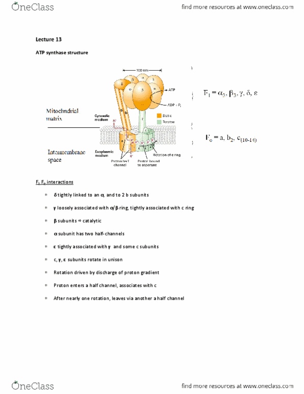 BIOL 201 Lecture Notes - Translocon, Secretion, Plant Cell thumbnail