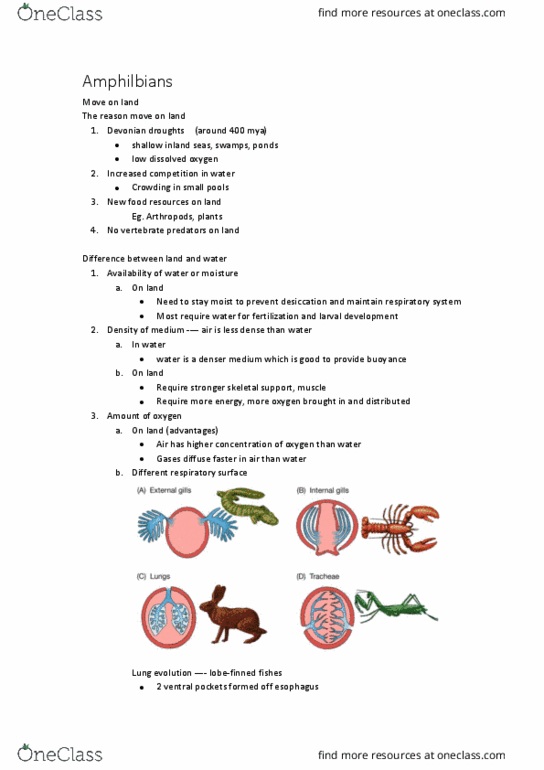 BIOL 111 Lecture Notes - Lecture 20: Devonian, Tetrapod, Marsupial thumbnail