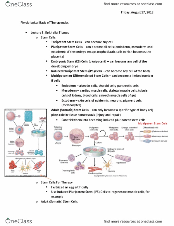 BIOL 2443 Lecture 13: LECTURE 3 8:17 thumbnail