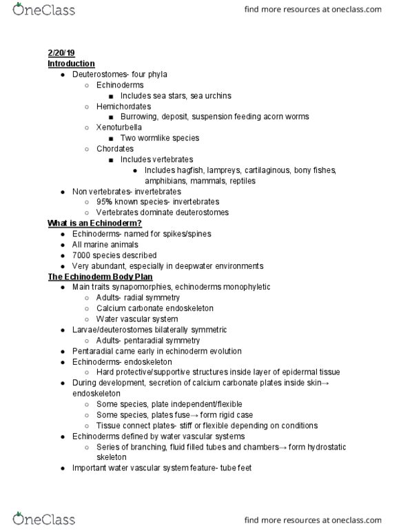 BIO SCI 94 Lecture 20: Deuterosome Animals Part 1 thumbnail