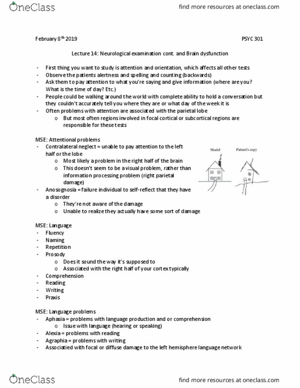 PSYC 301 Lecture 14: Neurological examination cont. and Brain dysfunction thumbnail