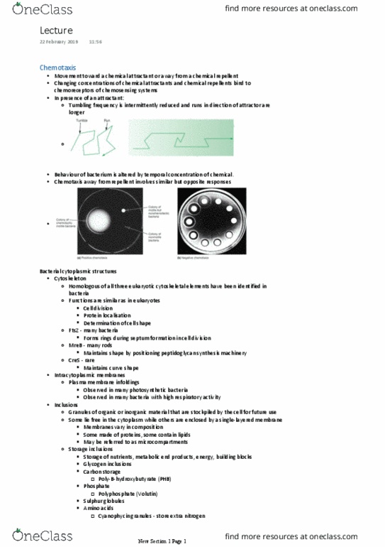 BIOL2142 Lecture Notes - Lecture 3: Chemotaxis, Polyphosphate, Mreb thumbnail