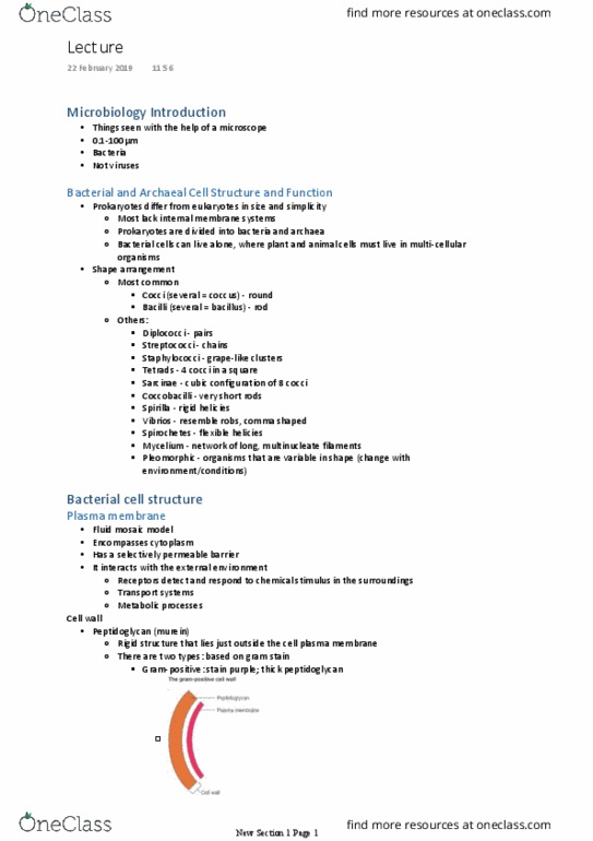 BIOL2142 Lecture Notes - Lecture 1: Bacterial Cell Structure, Fluid Mosaic Model, Gram Staining thumbnail